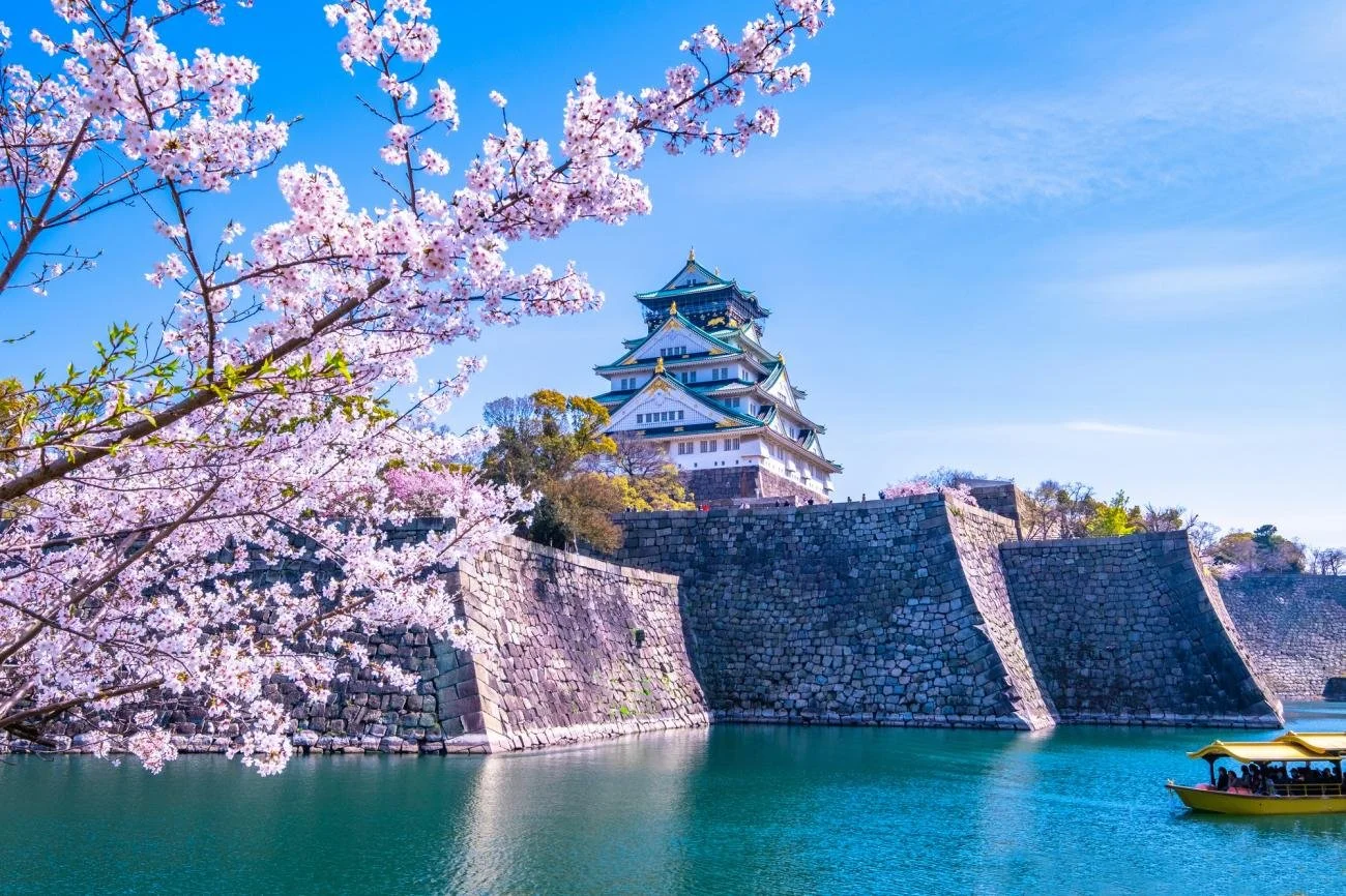 Japan Cherry Blossom Cruise 2028 | Adventure Bears — Adventure Bears